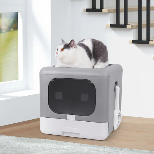 Litter Box with Scoop