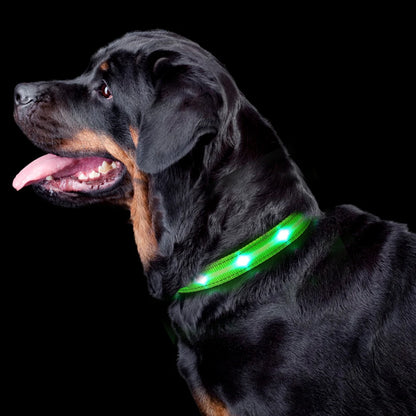 LED Dog Cat Collar