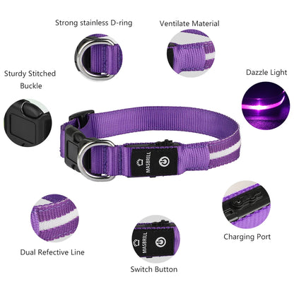 LED Dog Cat Collar