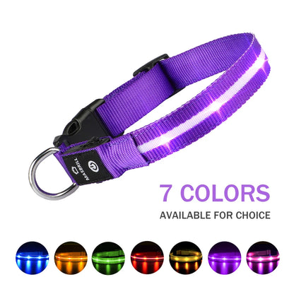 LED Dog Cat Collar