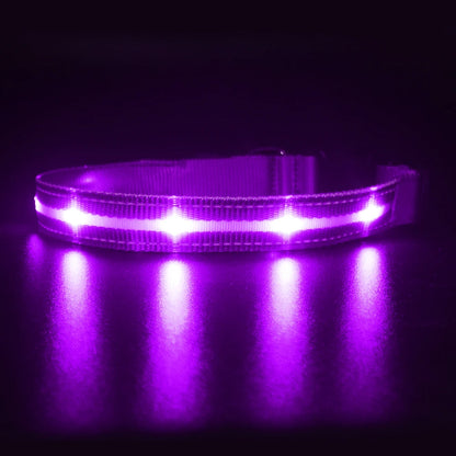 LED Dog Cat Collar