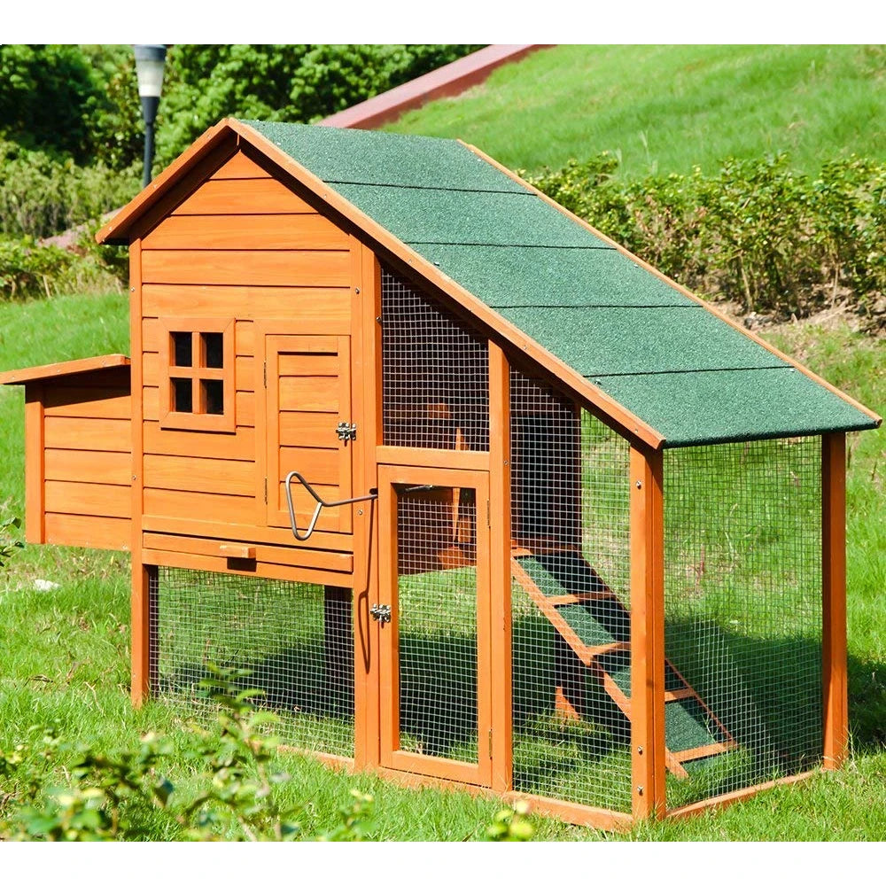 Pet House