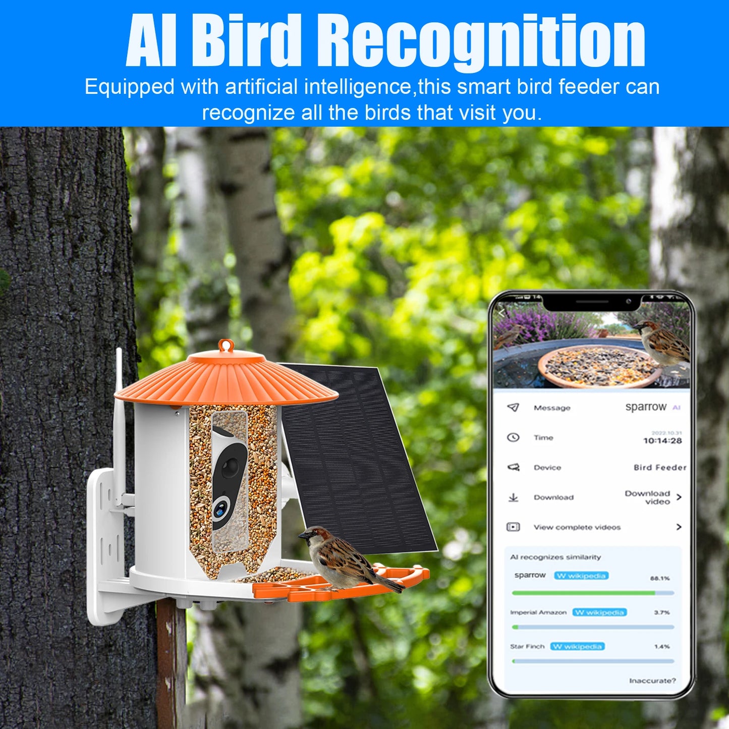 Smart Bird Feeder