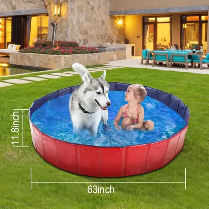 Kiddie Dog Pool