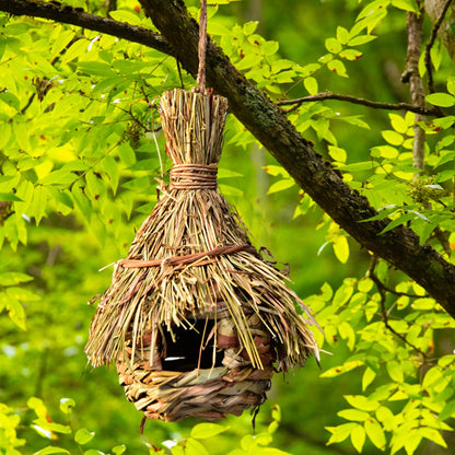 Grass House