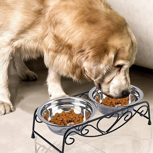 Feeding Bowl