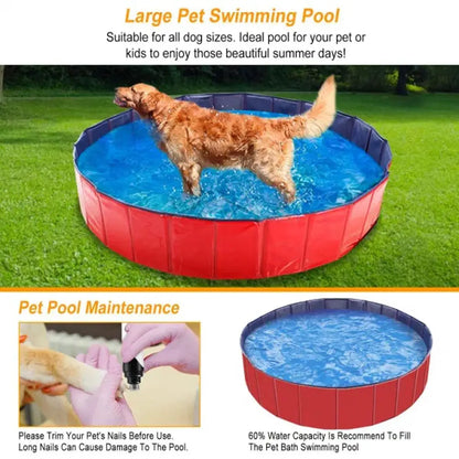 Kiddie Dog Pool