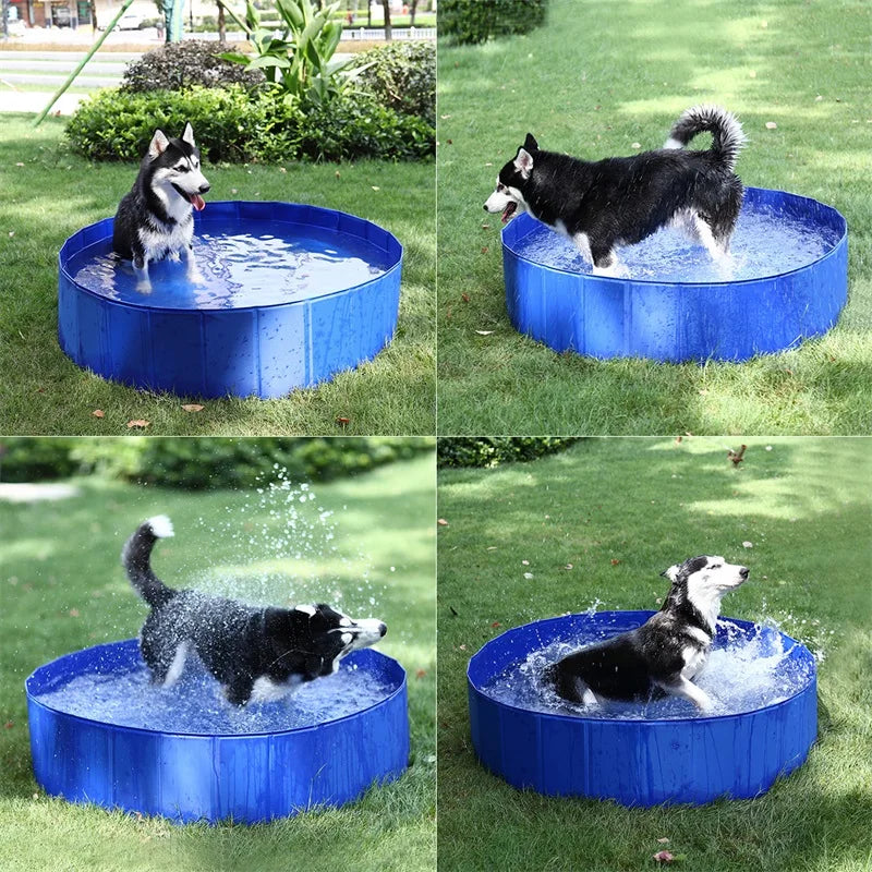 Foldable Dog Pool