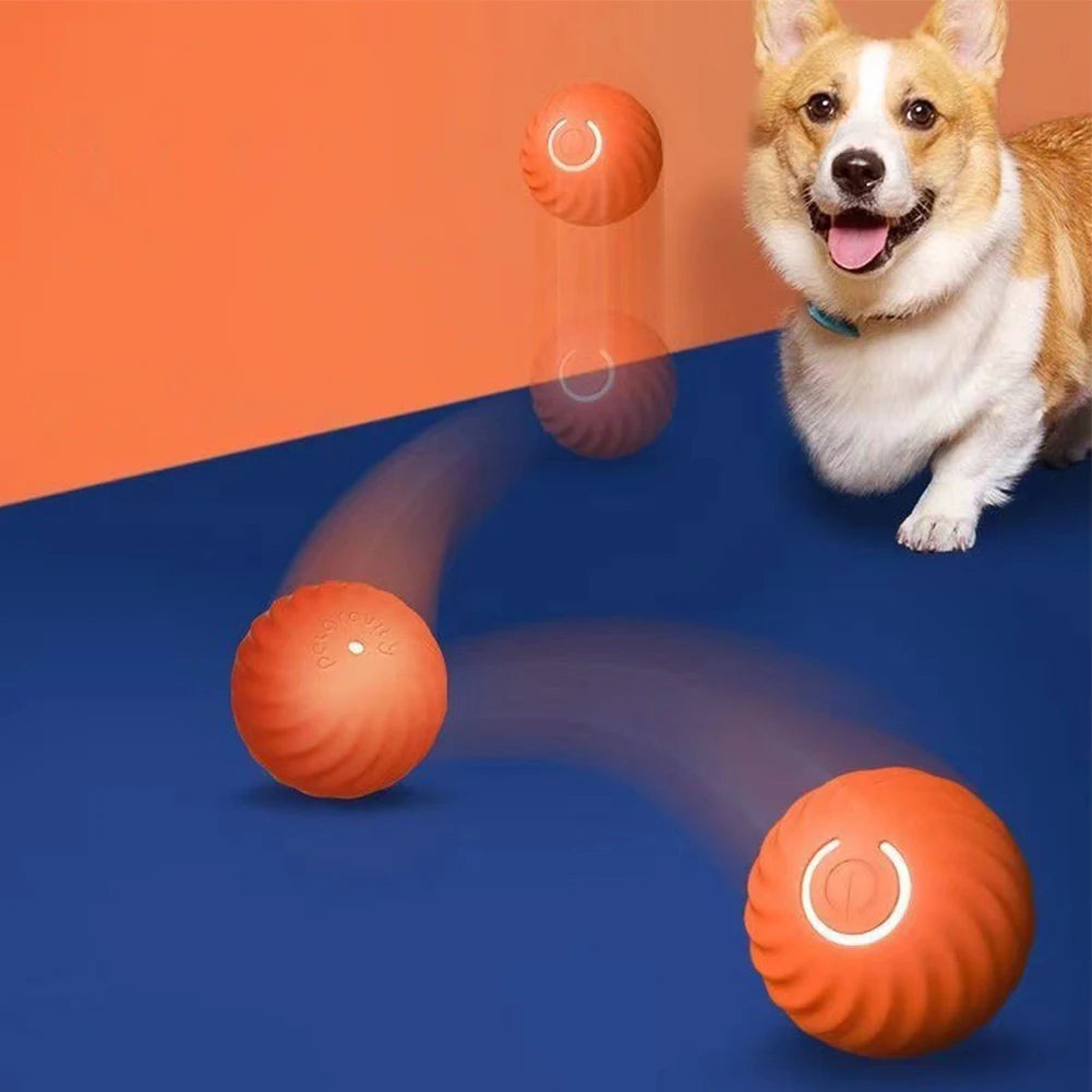 Smart Pet Toy