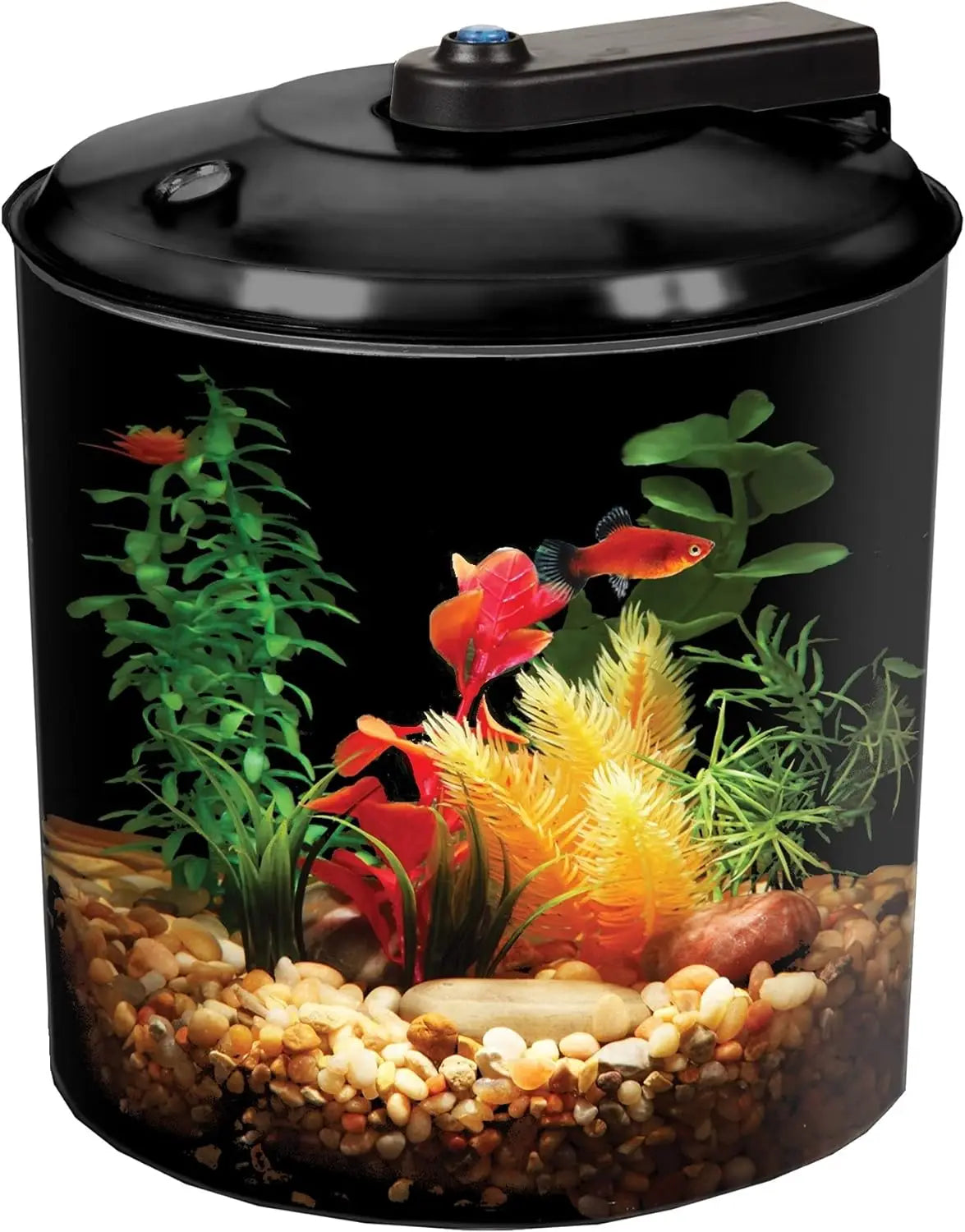 3-Gallon fish aquarium