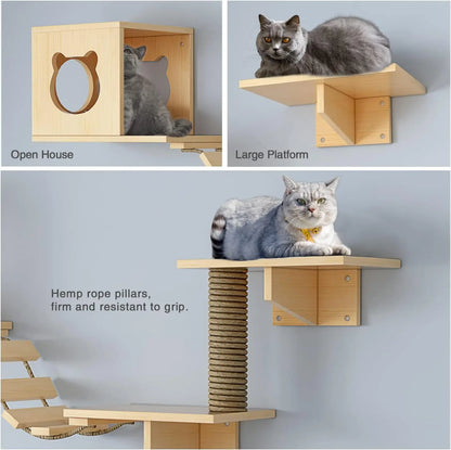 Cat Wall Furniture