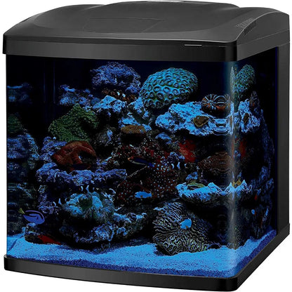 Fishbowl Aquarium