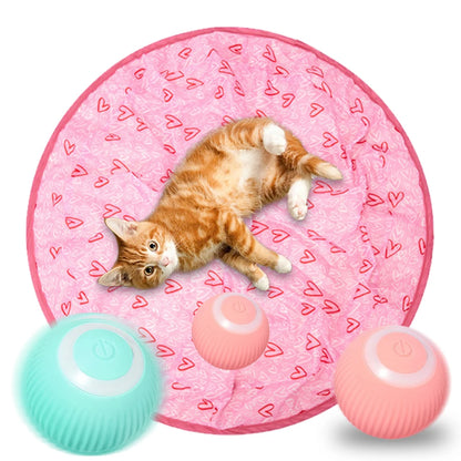 Interactive Cat Toy