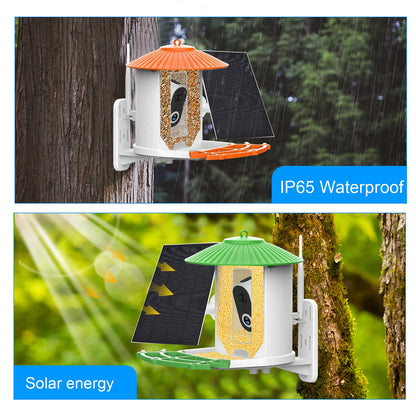 Smart Bird Feeder