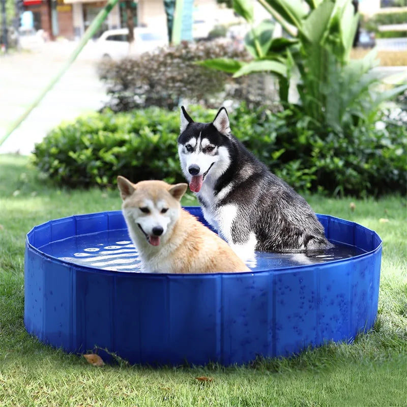 Foldable Dog Pool