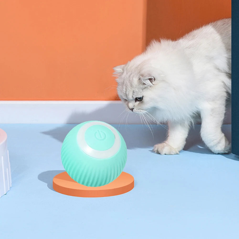 Interactive Cat Toy