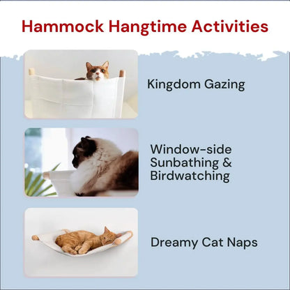 Cat Hammock Wall Mounted