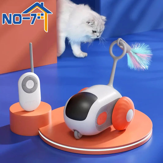 Car Cat Toy