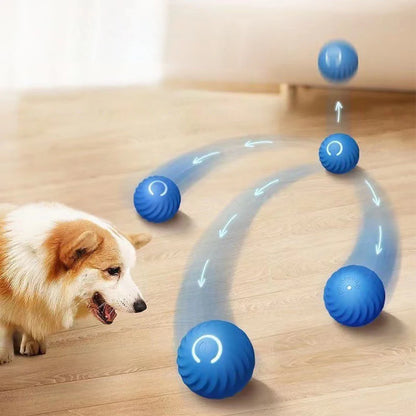 Smart Pet Toy