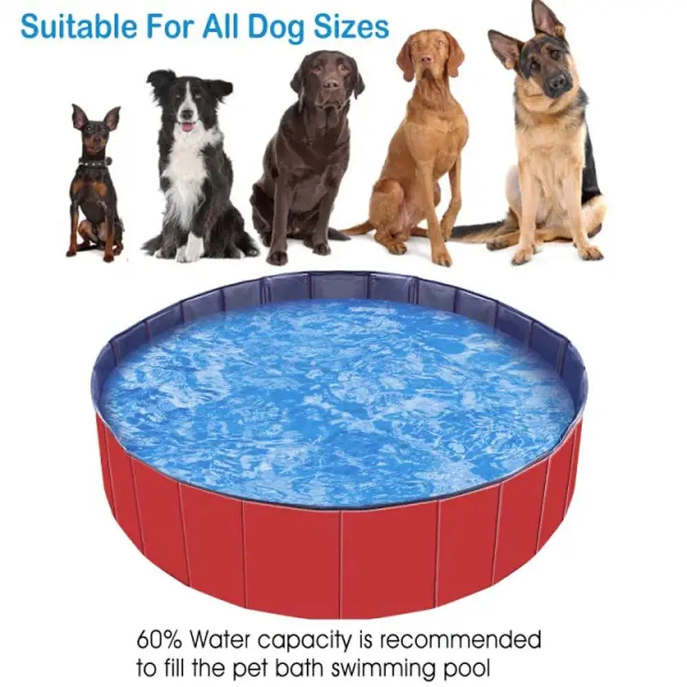 Kiddie Dog Pool