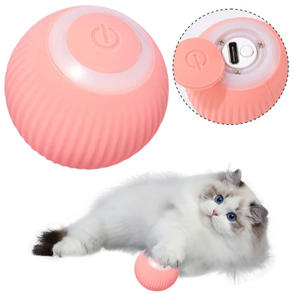 Interactive Cat Toy