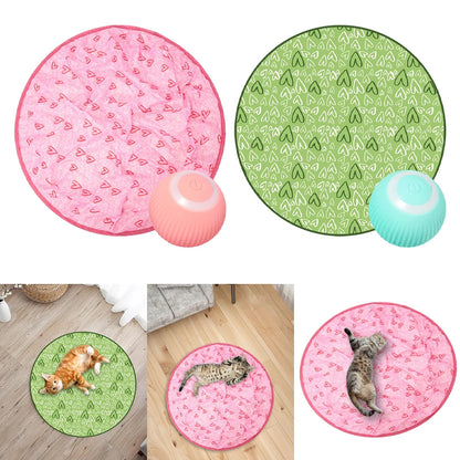 Interactive Cat Toy