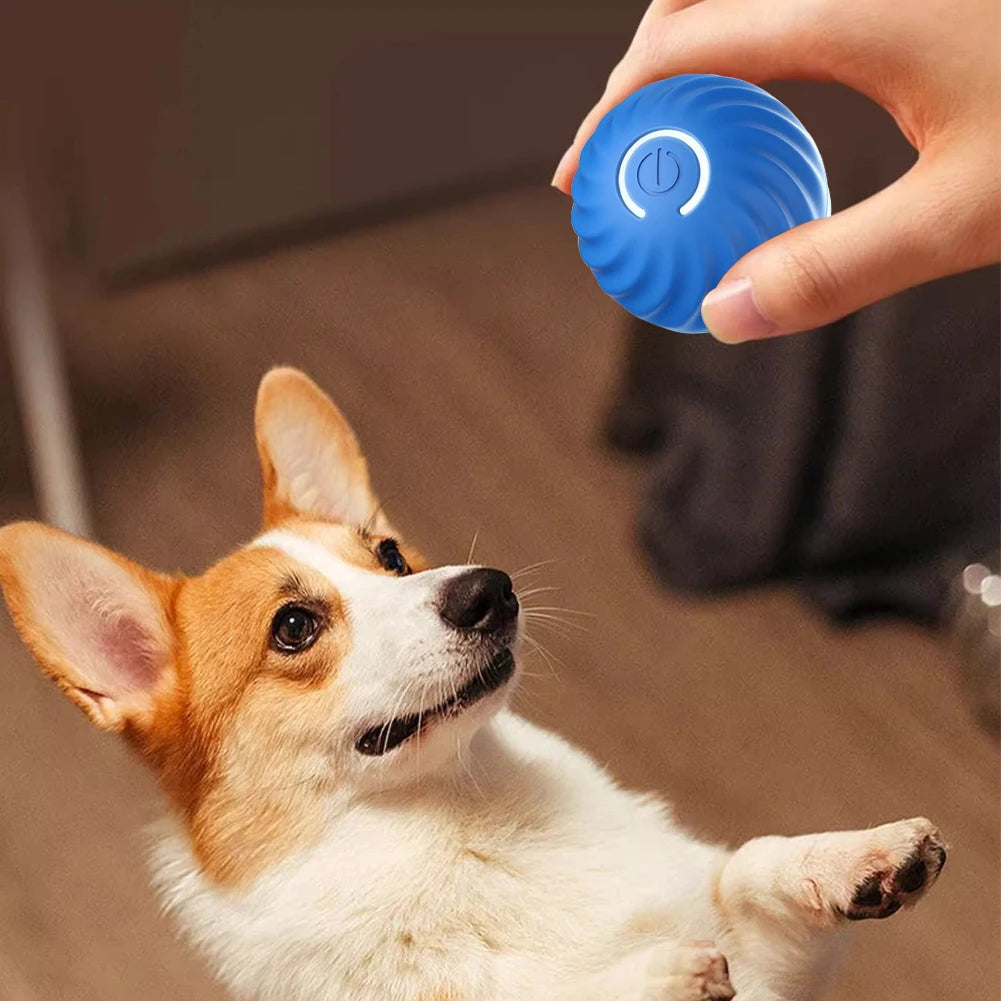 Smart Pet Toy