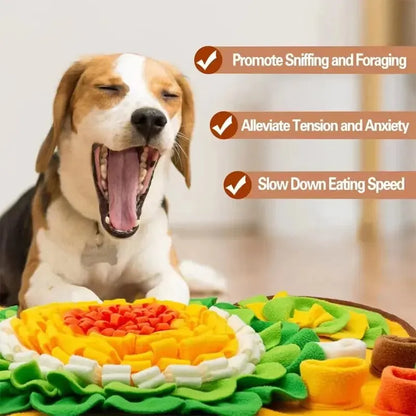 Multi-Functional Dog Feeding Mat