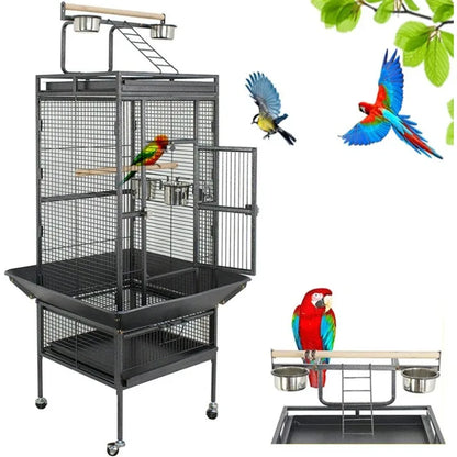 Play Bird Cage