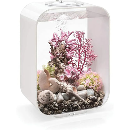 Fish Aquarium