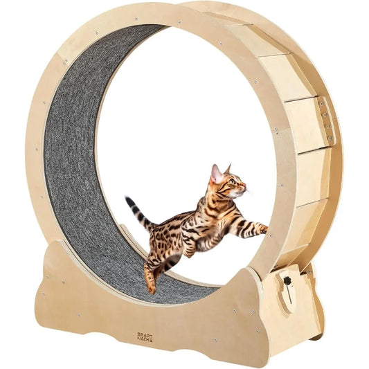 Cat Running Wheel