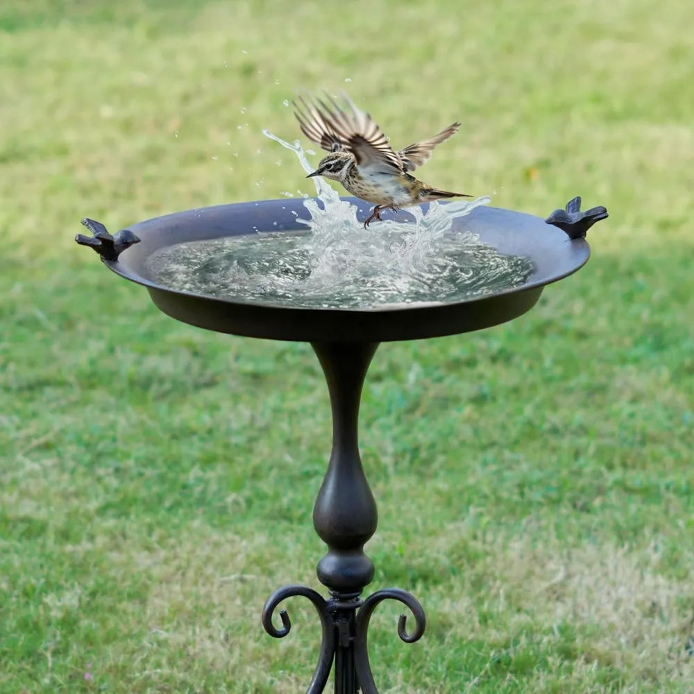 Large Bird Bath