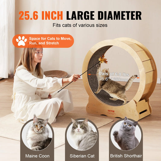 Cat Exercise Wheel