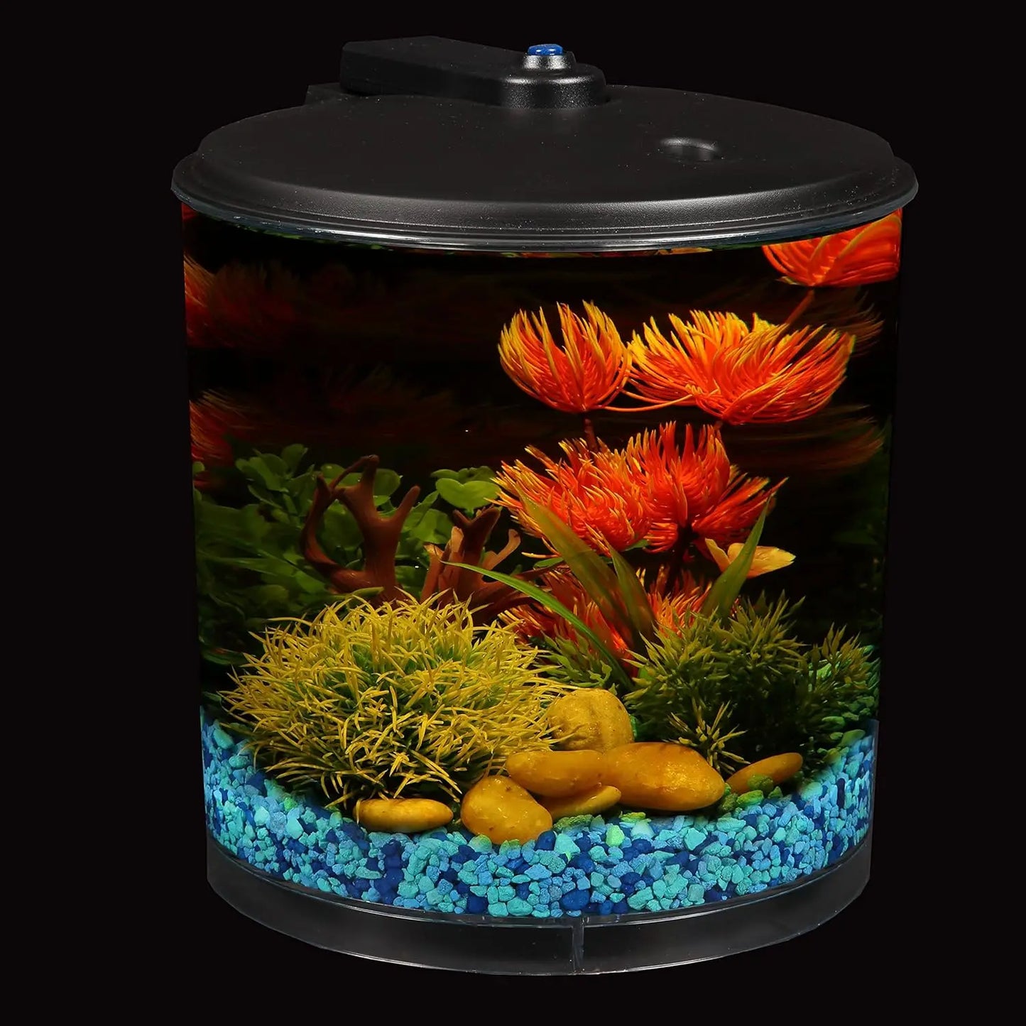 3-Gallon fish aquarium