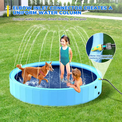 Dog Swimming Pool