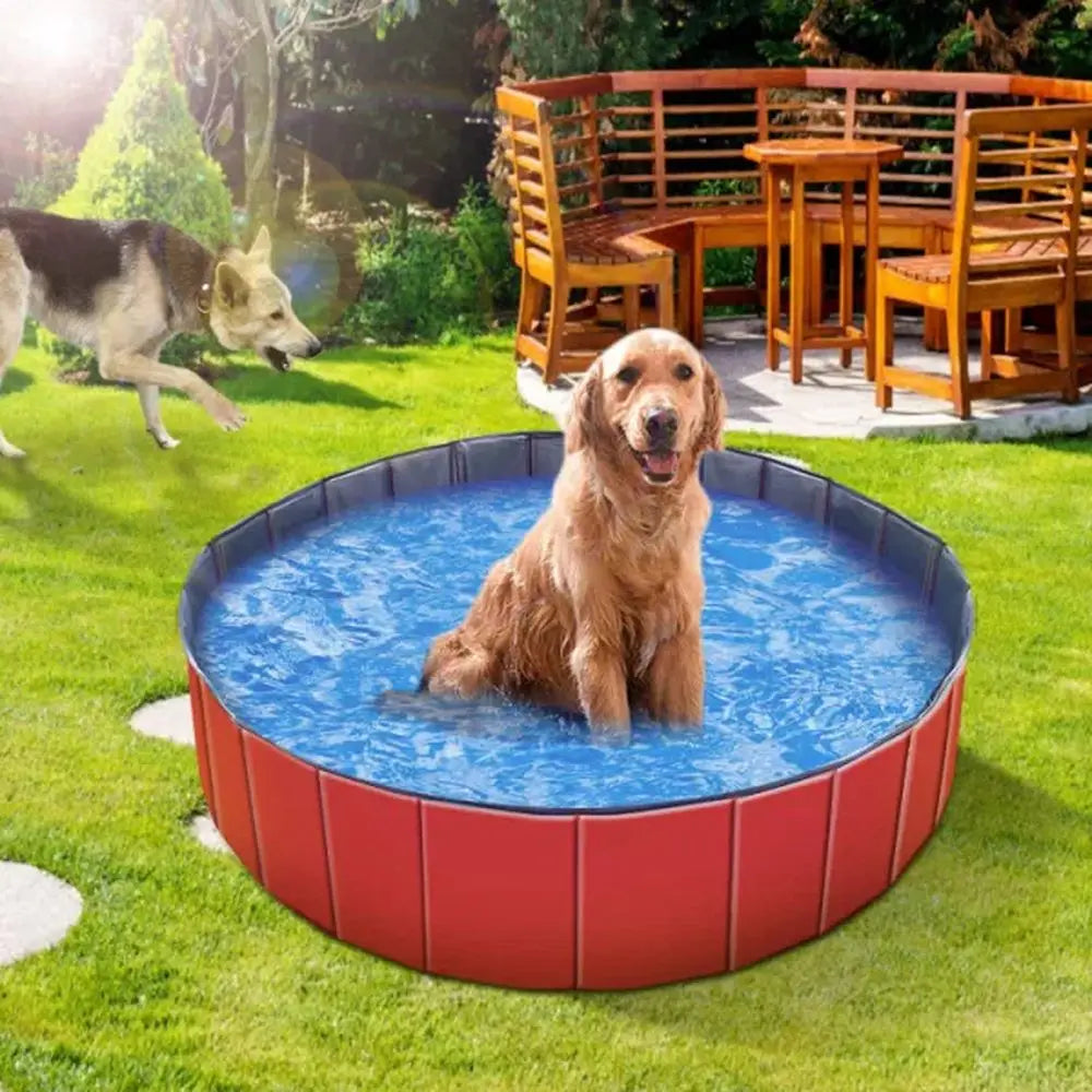 Kiddie Dog Pool